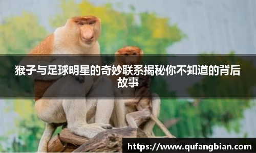 猴子与足球明星的奇妙联系揭秘你不知道的背后故事