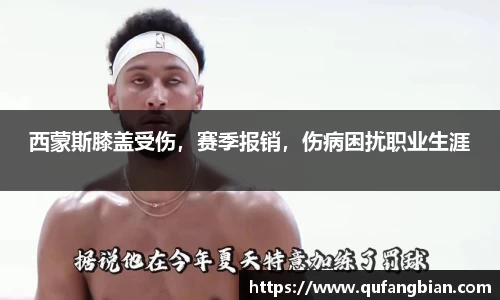 快盈VIII